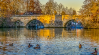 Die Alte Regnitzbrücke zur Golden Stunde ⠀⠀⠀⠀⠀⠀⠀⠀⠀⠀⠀⠀