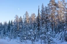 Äkäslompolo / Lappland; Tag 3